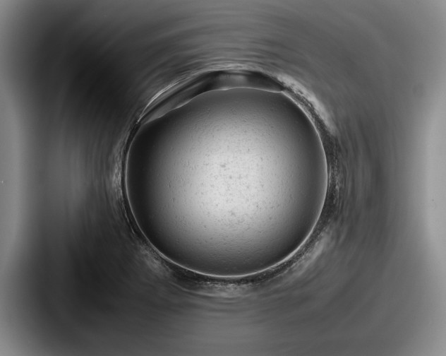 X0000087671273200705111150