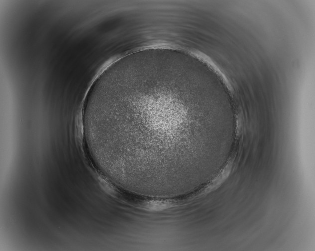 X0000087671274200705111150