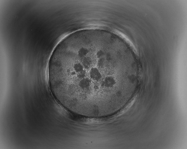 X0000087671275200705111150