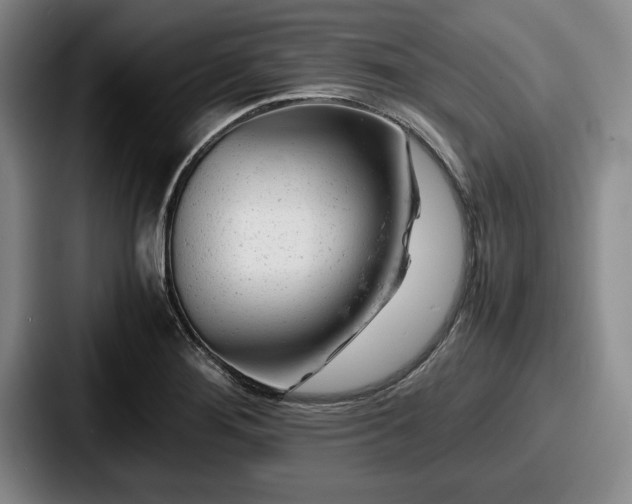 X0000087671276200705111150