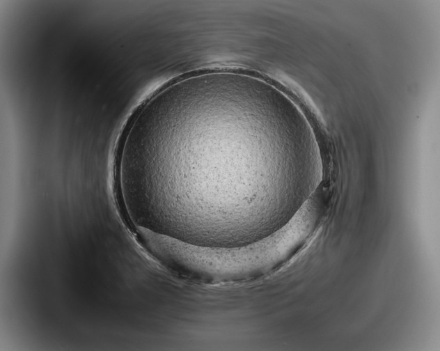 X0000087671277200705111150