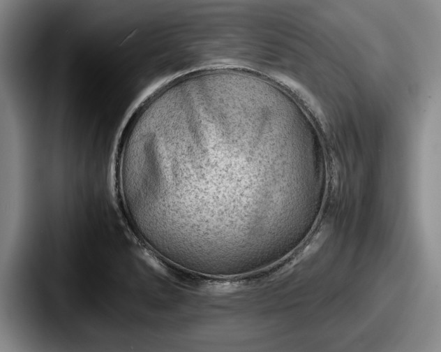 X0000087671278200705111150