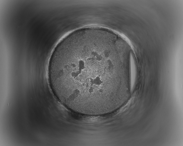 X0000087671279200705111150