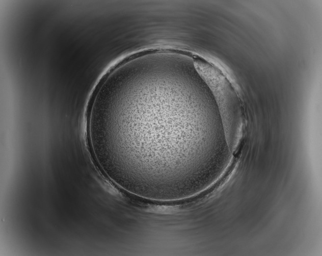 X0000087671280200705111150