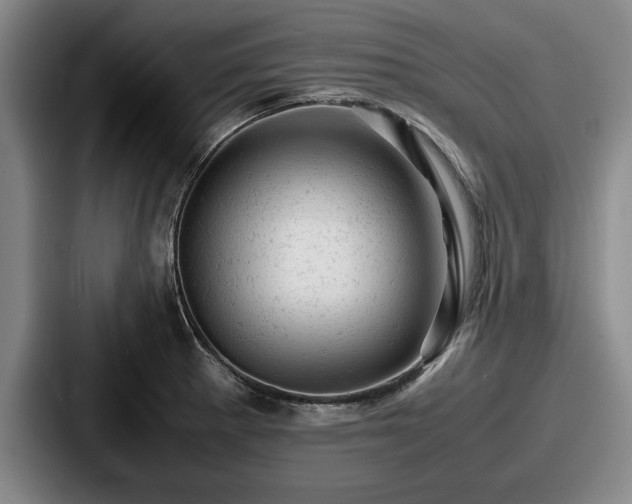 X0000087671281200705111150