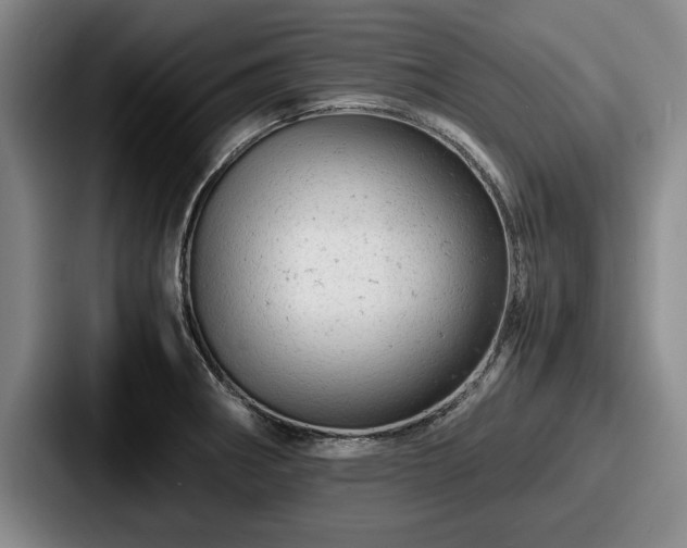 X0000087671282200705111150