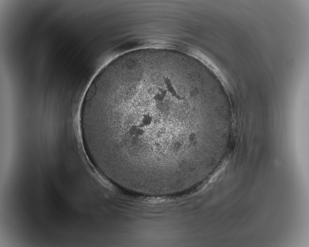 X0000087671283200705111150