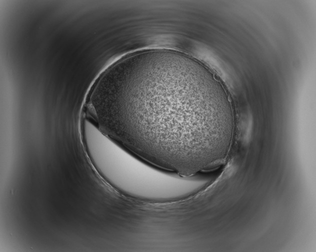 X0000087671284200705111150