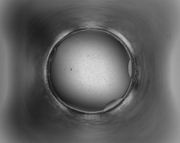 X0000087671285200705111150