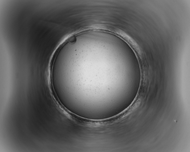 X0000087671286200705111150