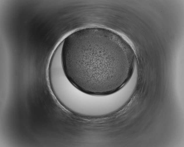 X0000087671287200705111150