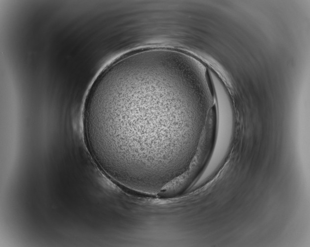 X0000087671288200705111150