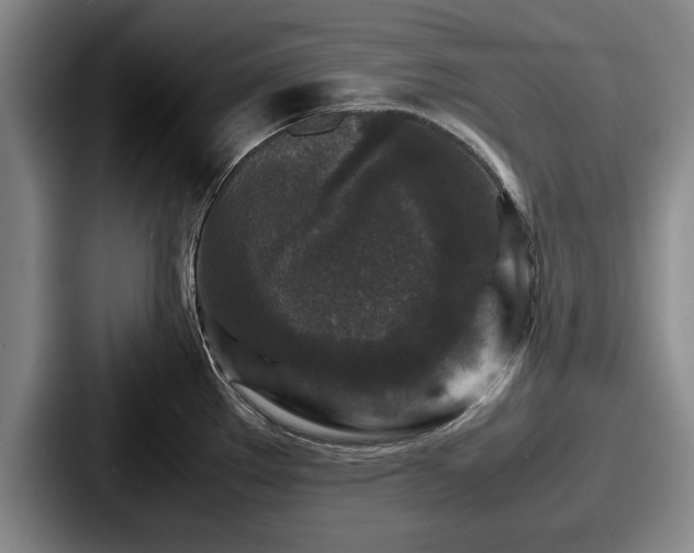 X0000087671289200705111150