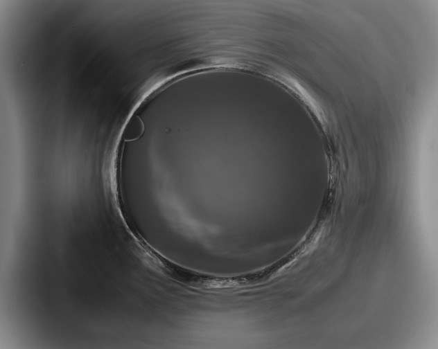 X0000087671291200705111150