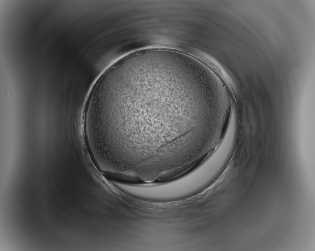 X0000087671292200705111150