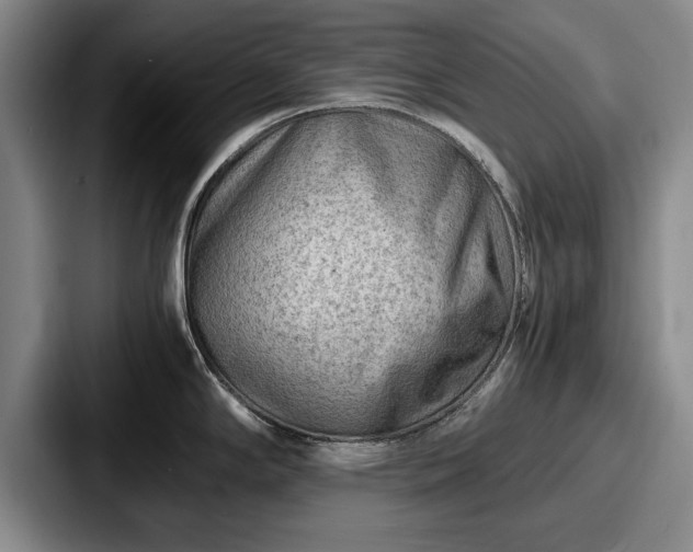 X0000087671294200705111150