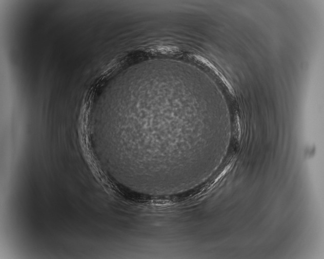 X0000087671297200705111149