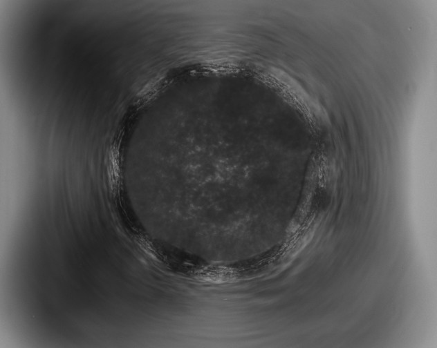 X0000087671298200705111149