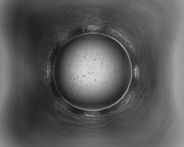 X0000087671299200705111149