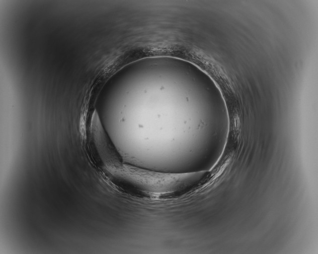 X0000087671300200705111149