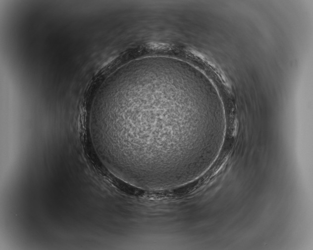 X0000087671301200705111149