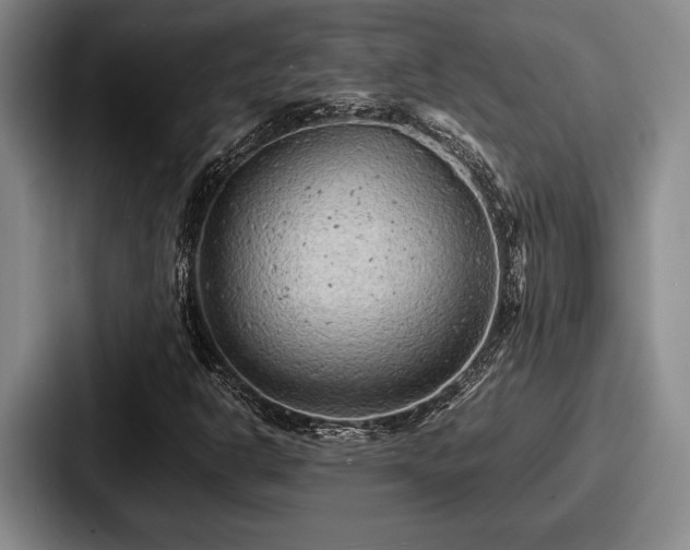 X0000087671302200705111149