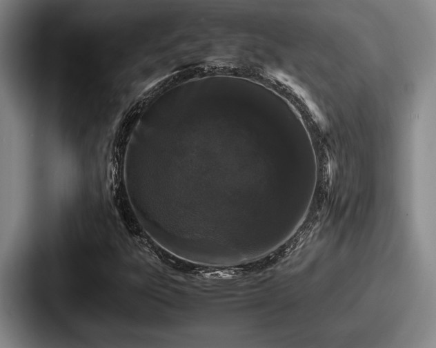 X0000087671303200705111149