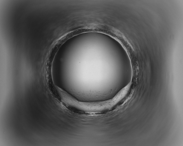 X0000087671304200705111149