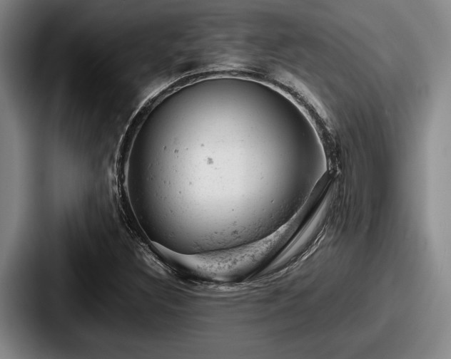 X0000087671308200705111149