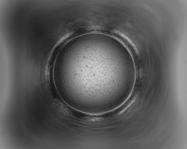 X0000087671309200705111149