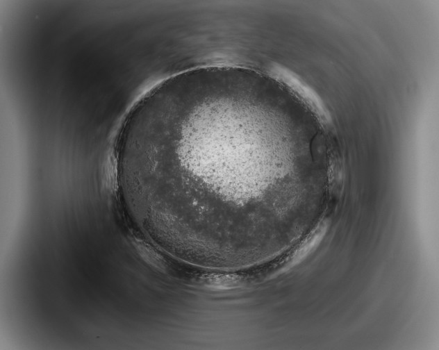 X0000087671310200705111149