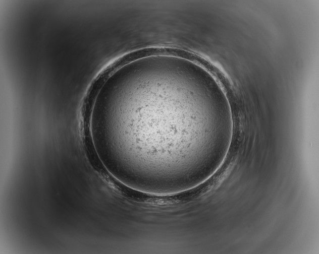 X0000087671311200705111149