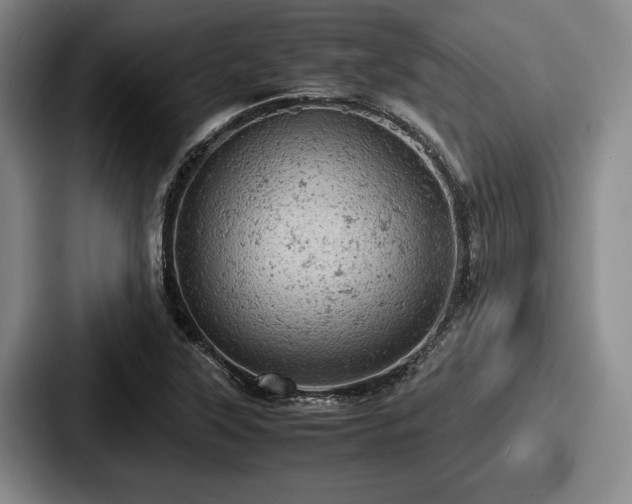 X0000087671315200705111149