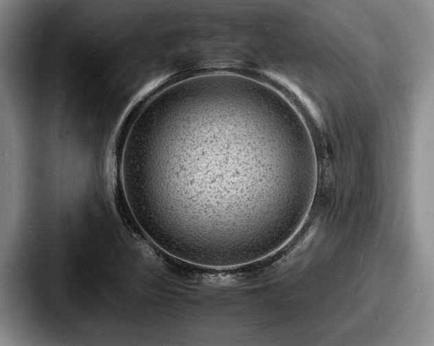 X0000087671317200705111149