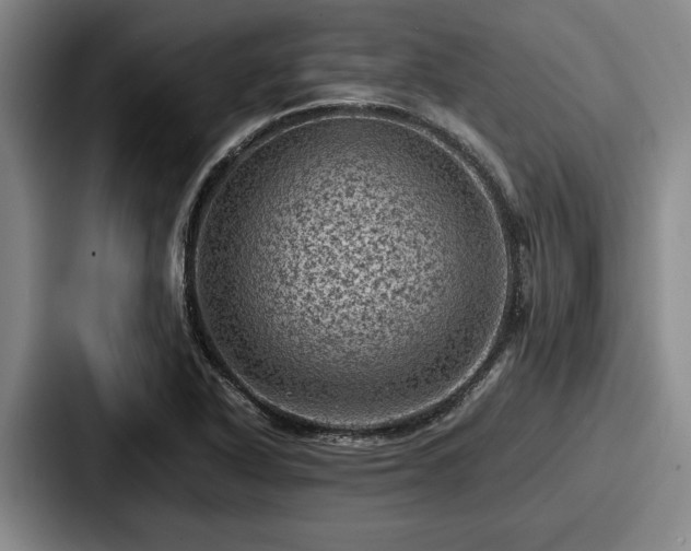 X0000087671318200705111149