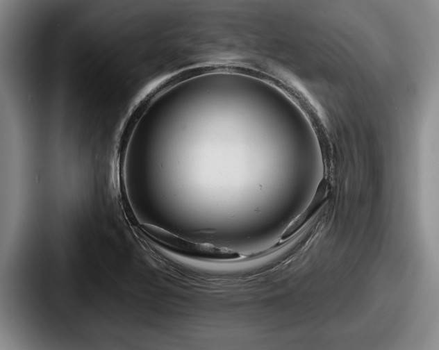 X0000087671320200705111150