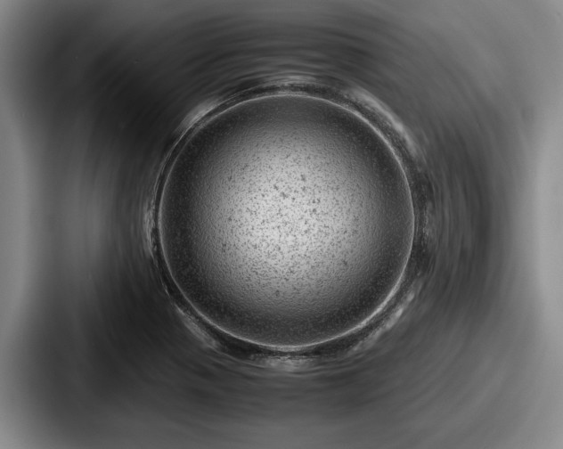 X0000087671321200705111150