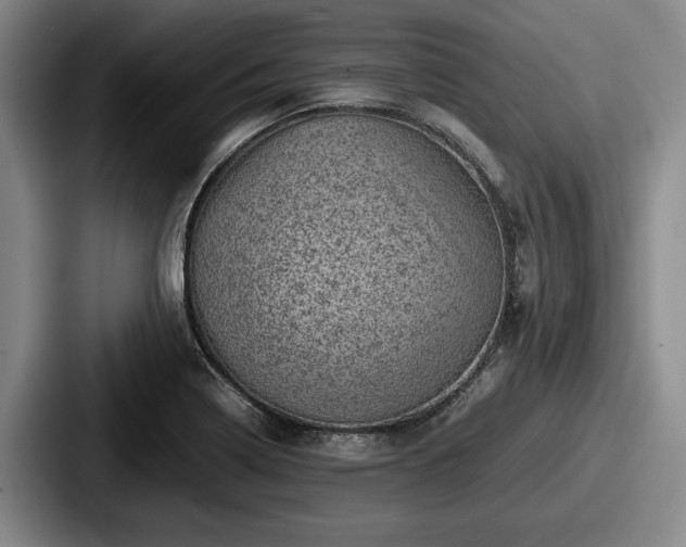 X0000087671322200705111150