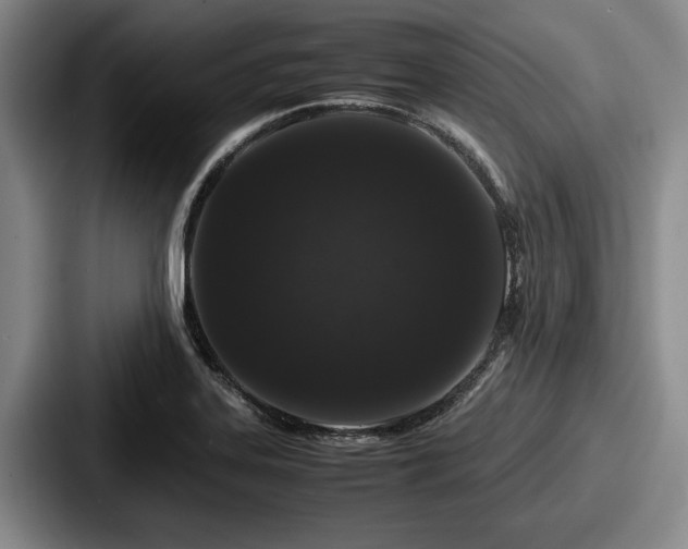 X0000087671323200705111150