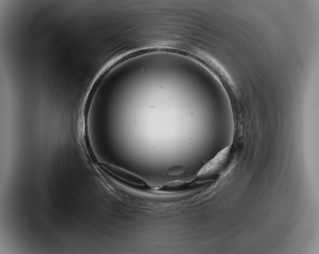 X0000087671324200705111150