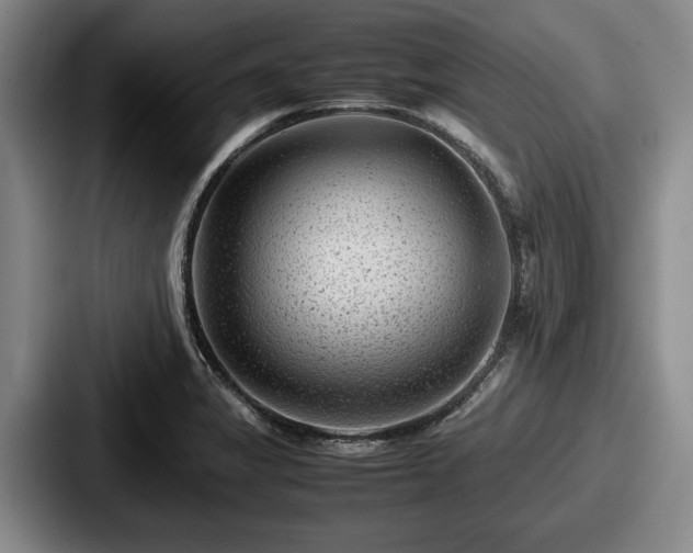 X0000087671325200705111150