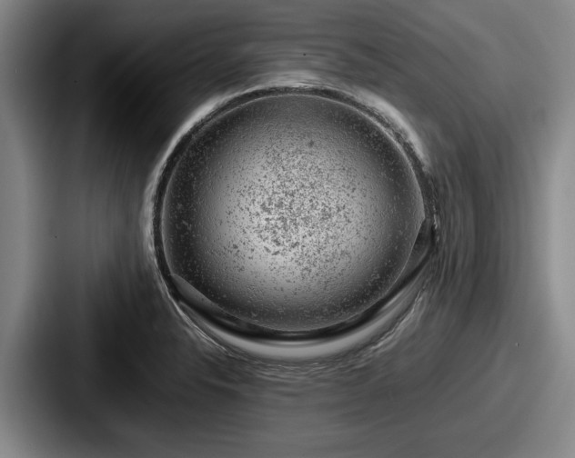 X0000087671326200705111150