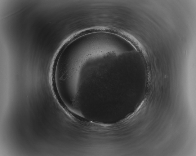 X0000087671327200705111150