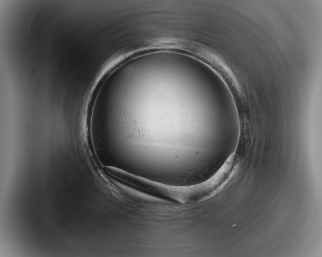 X0000087671328200705111150