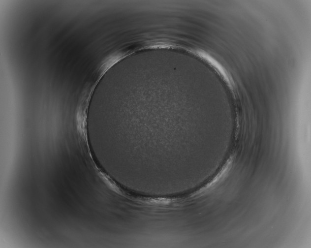 X0000087671329200705111150