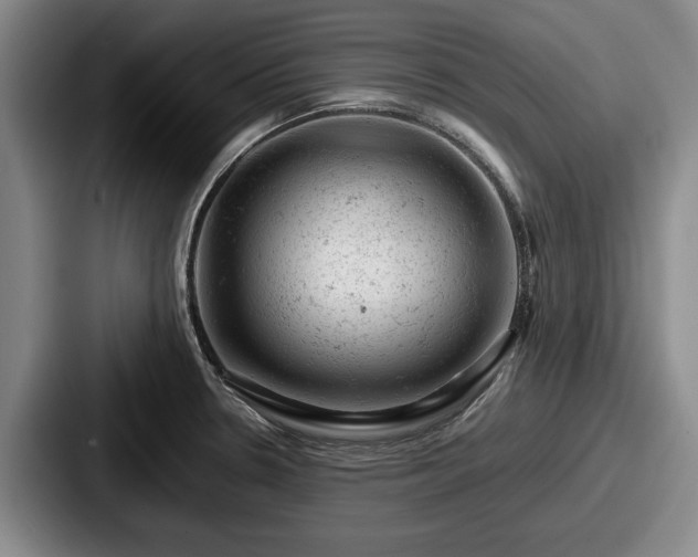 X0000087671330200705111150