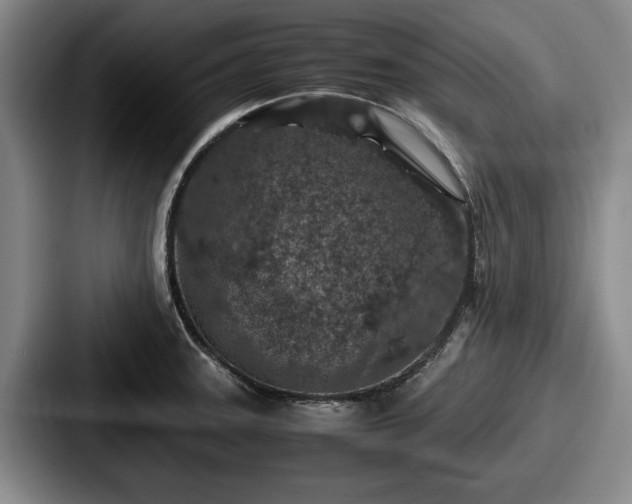 X0000087671331200705111150