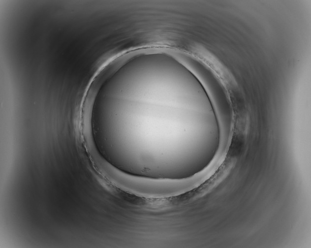 X0000087671332200705111150