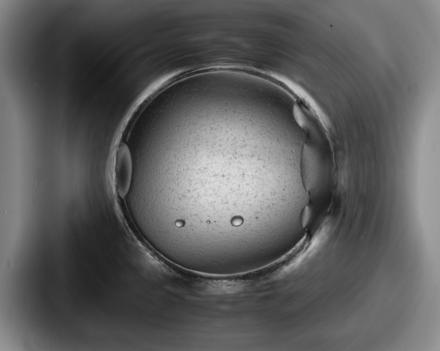 X0000087671333200705111150