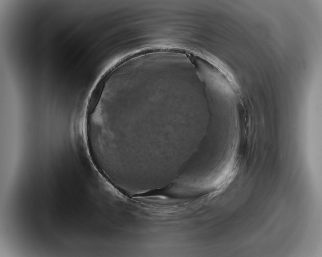 X0000087671334200705111150